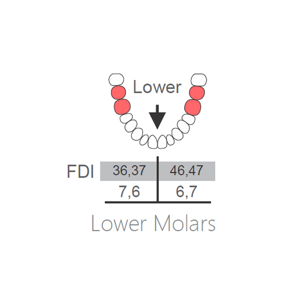 Mandibular Molar Extraction Forceps Reference Chart and Guide